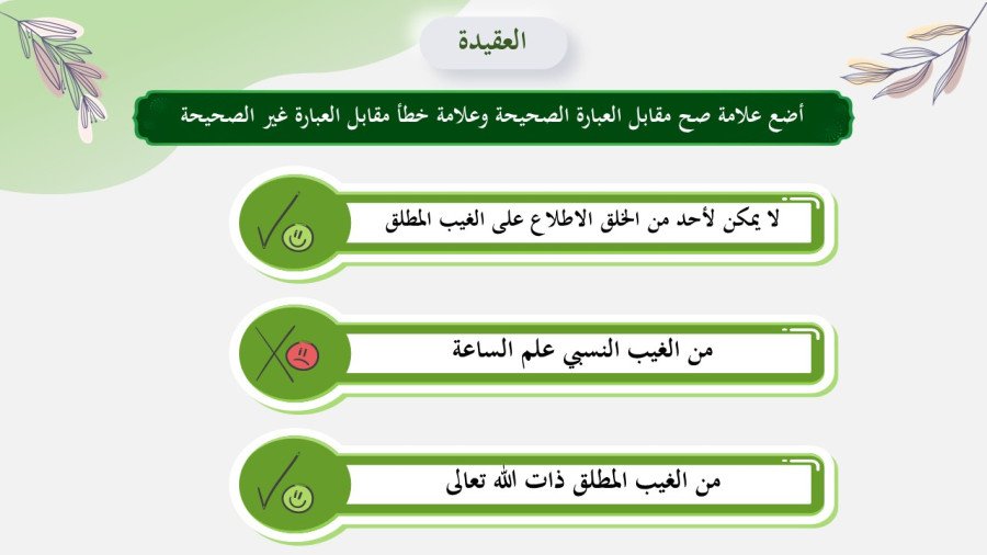 صورة من تفاصيل المادة