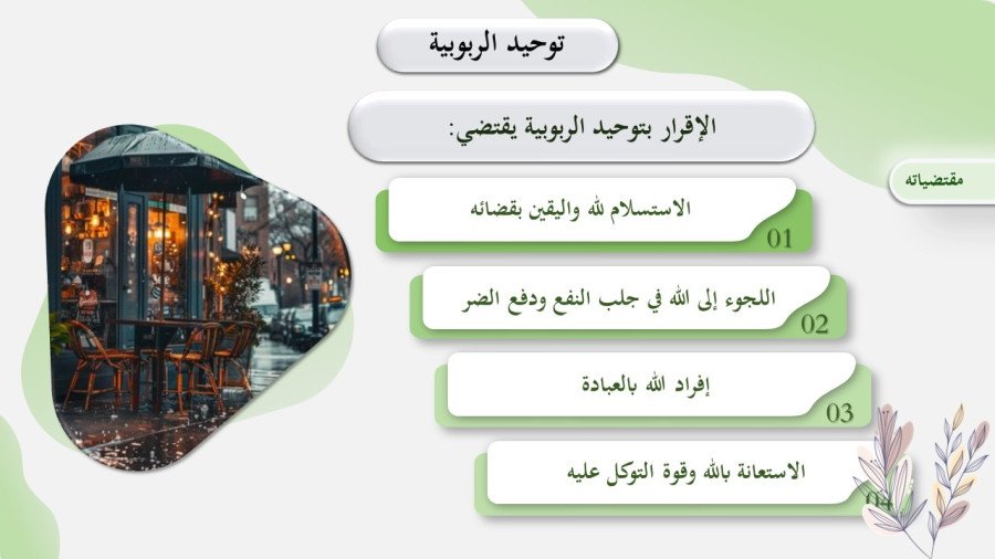 صورة من تفاصيل المادة