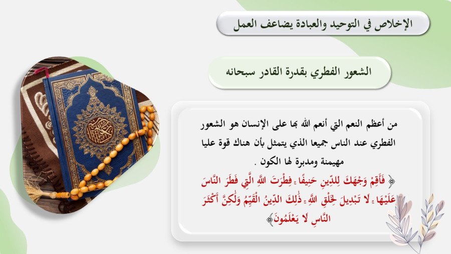 صورة من تفاصيل المادة