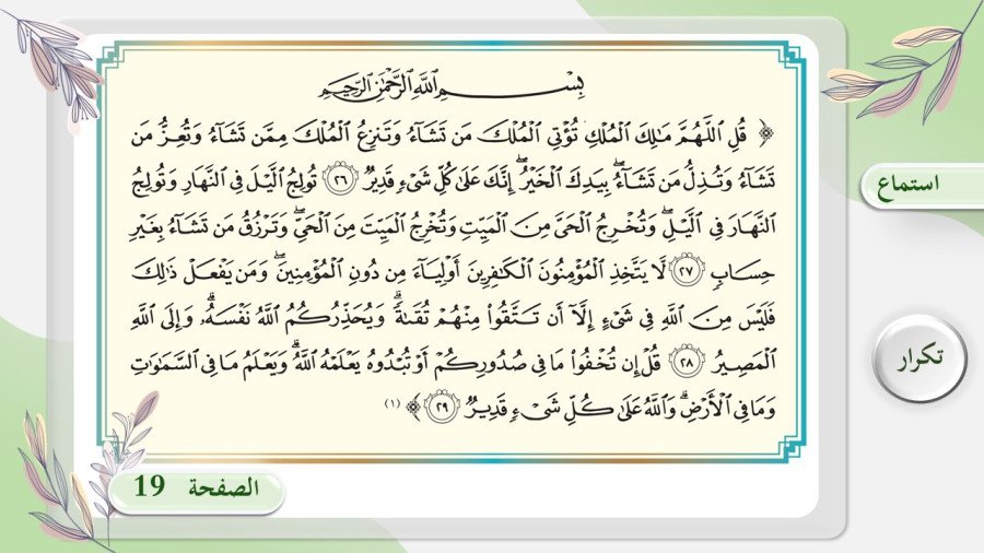 صورة من تفاصيل المادة