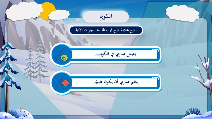 صورة من تفاصيل المادة