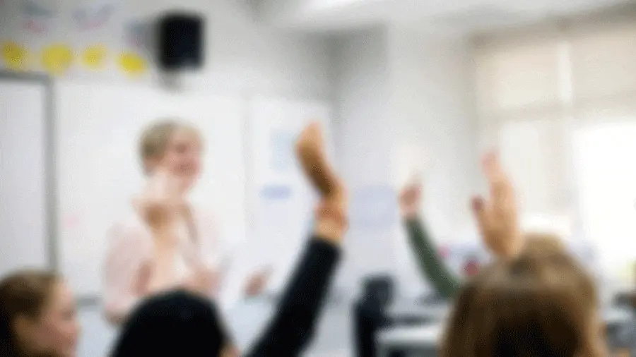 التفاعل في التعليم