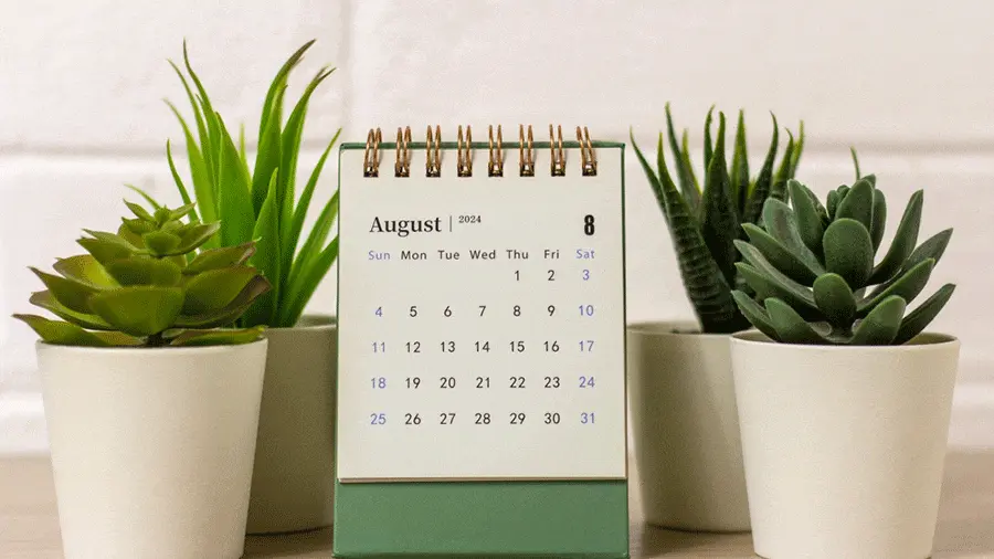 التعليم المهاري