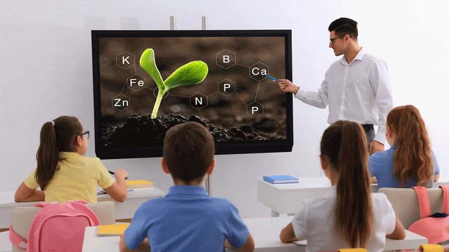 التعليم المرن