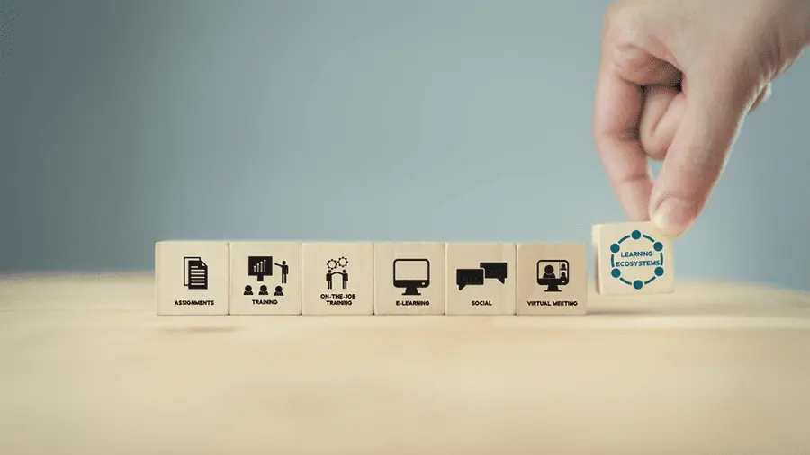 التعليم المختلط 